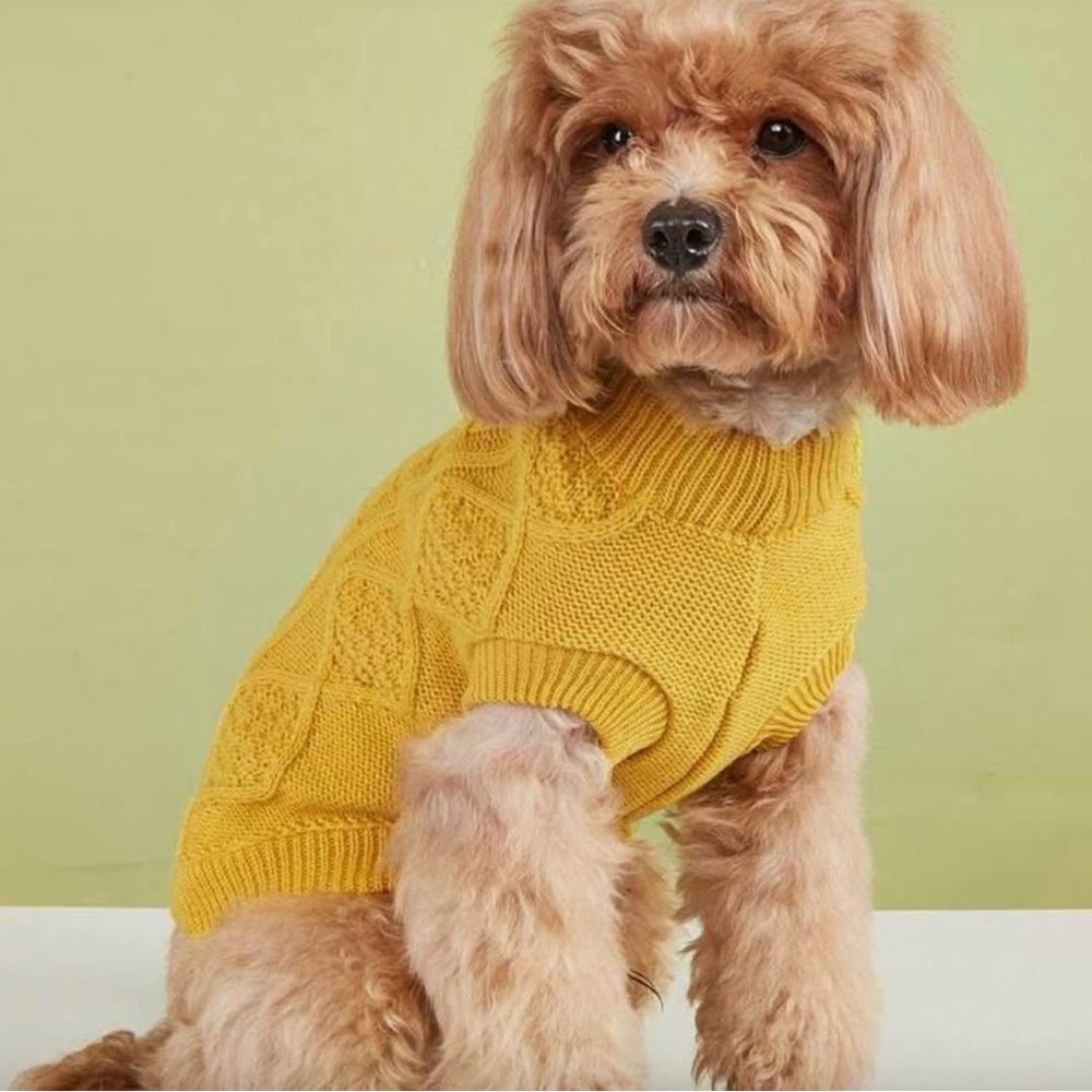 Cozy Yellow Dog Sweater (14-18 lbs dog)